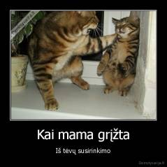 Kai mama grįžta - Iš tėvų susirinkimo