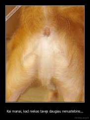 Kai manai, kad niekas tavęs daugiau nenustebins... - 