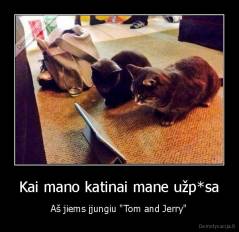 Kai mano katinai mane užp*sa - Aš jiems įjungiu "Tom and Jerry"
