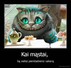 Kai mąstai,  - ką veiksi penktadienio vakarą