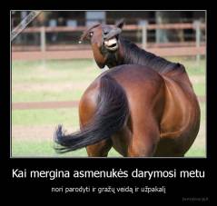 Kai mergina asmenukės darymosi metu - nori parodyti ir gražų veidą ir užpakalį