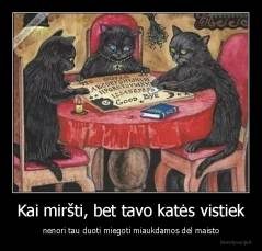 Kai miršti, bet tavo katės vistiek - nenori tau duoti miegoti miaukdamos dėl maisto