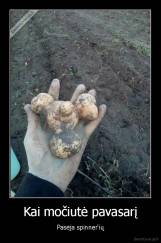 Kai močiutė pavasarį - Pasėja spinner'ių