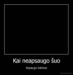 Kai neapsaugo šuo - Apsaugo katinas