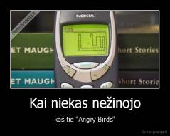 Kai niekas nežinojo - kas tie "Angry Birds"