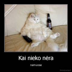 Kai nieko nėra - namuose