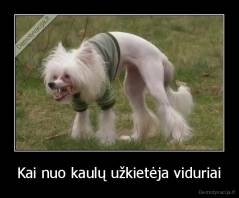 Kai nuo kaulų užkietėja viduriai - 