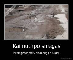 Kai nutirpo sniegas - Iškart pasimatė visi Smorigino šūdai 