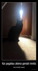 Kai pagaliau ateina geniali mintis - kaip užvaldyti pasaulį