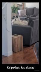 Kai paklausi kas alkanas - 