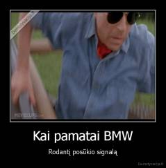 Kai pamatai BMW - Rodantį posūkio signalą