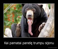 Kai pamatai panelę trumpu sijonu - 