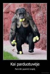 Kai parduotuvėje - Pamiršti pasiimti krepšį