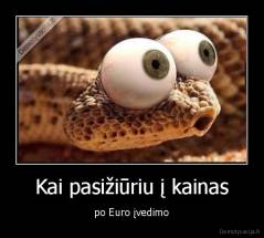 Kai pasižiūriu į kainas - po Euro įvedimo