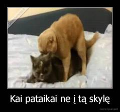 Kai pataikai ne į tą skylę - 