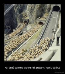 Kai prieš pamoka visiem reik padaryti namų darbus - 