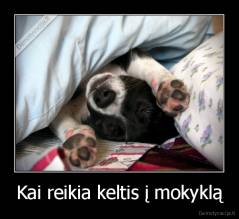 Kai reikia keltis į mokyklą - 