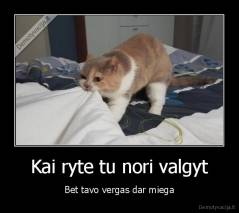 Kai ryte tu nori valgyt - Bet tavo vergas dar miega