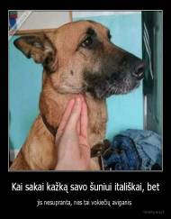 Kai sakai kažką savo šuniui itališkai, bet - jis nesupranta, nes tai vokiečių aviganis 