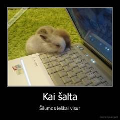 Kai šalta - Šilumos ieškai visur