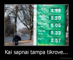 Kai sapnai tampa tikrove... - 