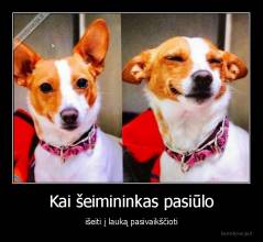 Kai šeimininkas pasiūlo - išeiti į lauką pasivaikščioti