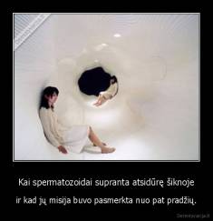 Kai spermatozoidai supranta atsidūrę šiknoje - ir kad jų misija buvo pasmerkta nuo pat pradžių.