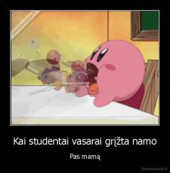 Kai studentai vasarai grįžta namo - Pas mamą