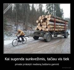 Kai sugenda sunkvežimis, tačiau vis tiek - privalai pristatyti medieną baldams gaminti