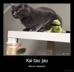 Kai tau jau - Nervai nebelaiko