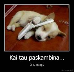 Kai tau paskambina... - O tu miegi.