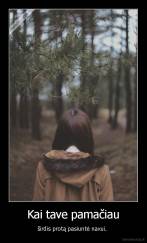 Kai tave pamačiau - širdis protą pasiuntė naxui. 