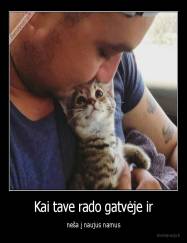 Kai tave rado gatvėje ir - neša į naujus namus