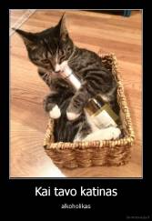 Kai tavo katinas - alkoholikas