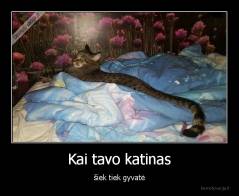 Kai tavo katinas - šiek tiek gyvatė