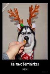 Kai tavo šeimininkas - debilas