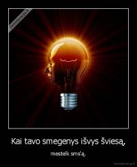 Kai tavo smegenys išvys šviesą, - mestelk sms'ą.