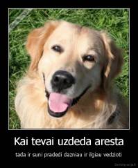 Kai tevai uzdeda aresta - tada ir suni pradedi dazniau ir ilgiau vedzioti