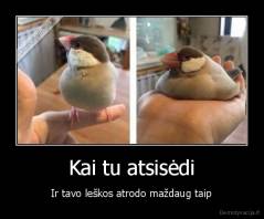 Kai tu atsisėdi - Ir tavo leškos atrodo maždaug taip