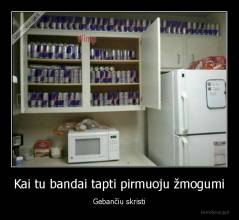 Kai tu bandai tapti pirmuoju žmogumi - Gebančiu skristi