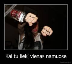 Kai tu lieki vienas namuose - 