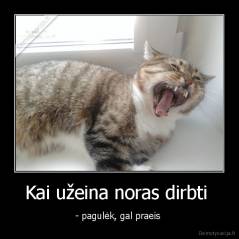 Kai užeina noras dirbti  - - pagulėk, gal praeis 