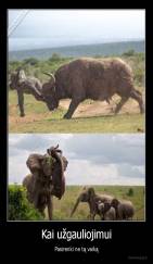 Kai užgauliojimui - Pasirenki ne tą vaiką