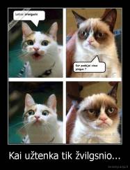 Kai užtenka tik žvilgsnio... - 