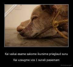 Kai vaikai esame sakome ikursime prieglaud sunu - Kai uzaugme vos 1 suneli pasiemam