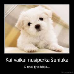 Kai vaikai nusiperka šuniuka - O tėvai jį vedzioja...