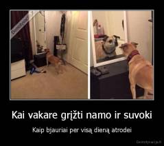 Kai vakare grįžti namo ir suvoki - Kaip bjauriai per visą dieną atrodei