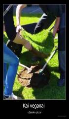 Kai veganai  - užsisako picos