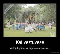 Kai vestuvėse - Vietoj degtinės vartojamas absentas...