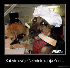 Kai virtuvėje šeimininkauja šuo... - 